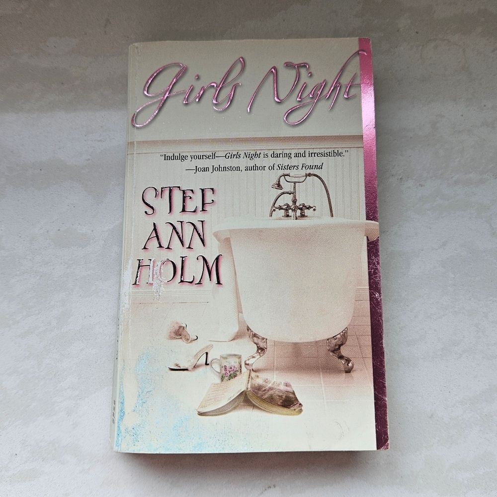 Girls Night by Stef Ann Holm Book